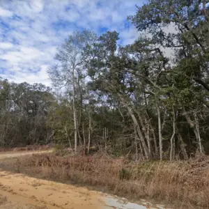 0.23 Acre Corner FLORIDA Land For Just $149 Down? NO WAY!