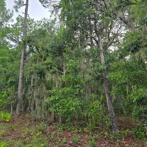 2025 Housing Fix: Your Own 0.22 Acres in FL For Just $129