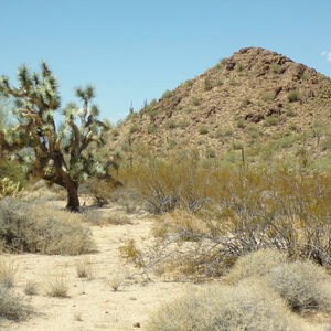 5 Pristine Acres in Mohave County near Yucca AZ