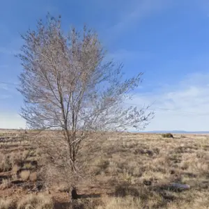 🗽 Make America Yours – 1 Acre in NM for Only $125/Month