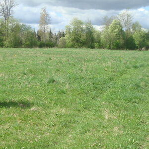 2 ha on the river bank  coastline is 300m