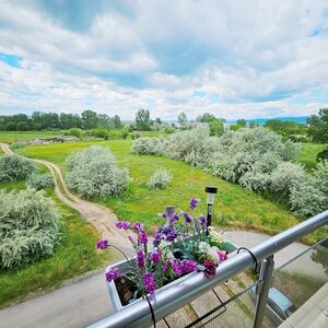 Beautiful one-bedroom apartment with a nice view!