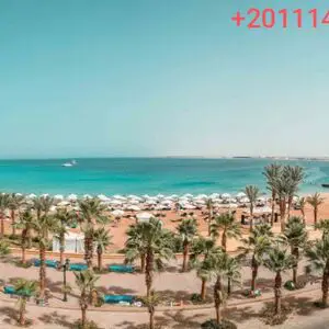 Tawaya sahl hashesh IL gusto beach 