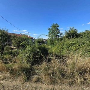 Plot of 61 are in Belo Breg-Indjija