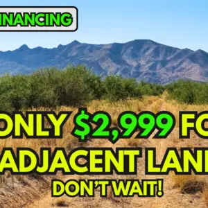 $50 for TWO Adjoining Lots in Arizona? You Read That Right