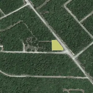 Escape City Chaos– Embrace Nature and Create Your Dream Life