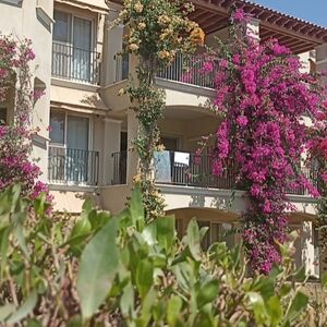 1-Bedroom Penthouse with Sea & Pool View