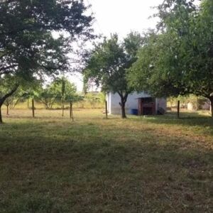 I am selling a house with a large plot in Obrež