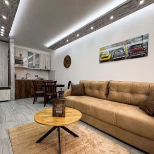 I am selling a luxurious apartment in Banja Koviljaca