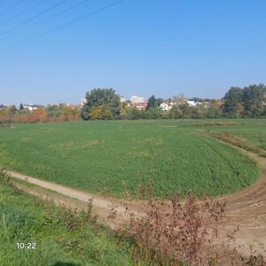 Plot of 46 ares in Kraljevo, KO RIbnica k.p. 58/1