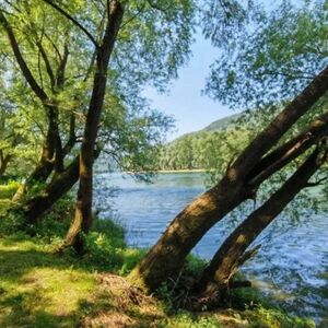 Plots for sale Gornja Trešnjica-Ljubovija