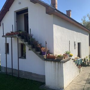 I am selling a house in Trbušnica-Lazarevac