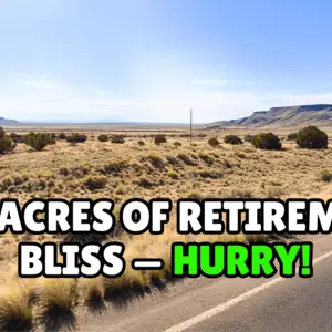 Buy 1.25 Acres in Arizona for Just $47 Down Payment! 