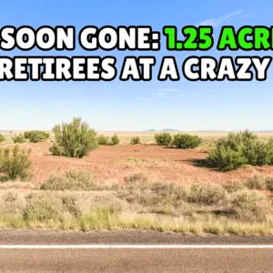 Your Own 1.25 Acres in AZ: Just $47/Down to Start! BUY NOW