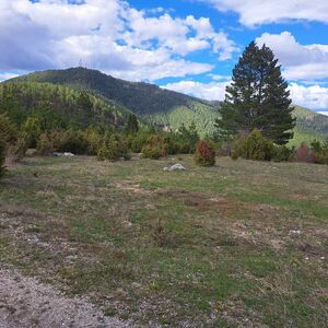 Plot Zlatibor village Stublo