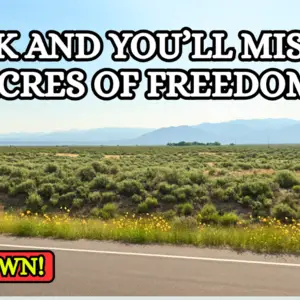 4.91 Acres in CO for $107/Mo!