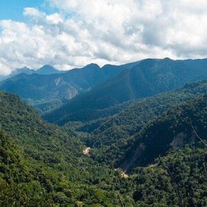 For Sale: 5.67 has Land plot in Lamas Province - San Martín