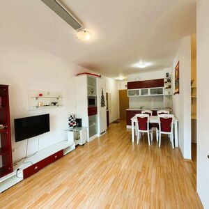 2-Bedroom Apartment with Park view – Sunny Day 6