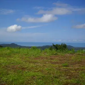 Looking to build? Need a lot? We have a "lot" of them!