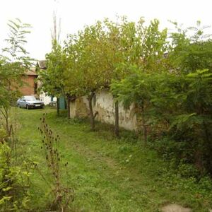 Old house with a lot of agricultural land within the limits 