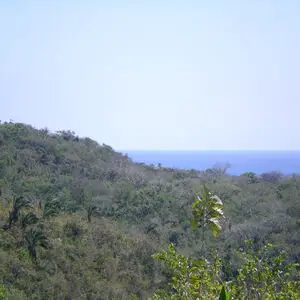 Her loss is your gain!