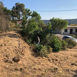LAND FOR SALE IN THE ISLAND OF CHIOS-THYMIANA - GREECE