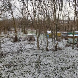 Regulated plot of land for sale in the village of Chernozem,