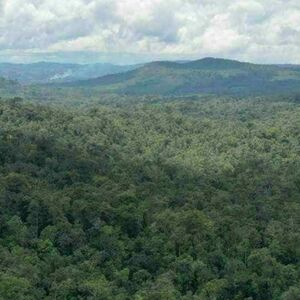 For sale farm lot in Laak, Davao de Oro, Philippines 