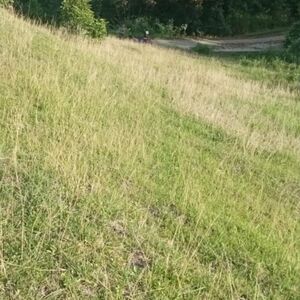 Beach lot in Bohol, Philippines 