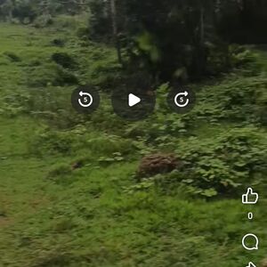 Farm lot in panabo city 