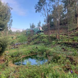 Beautiful land in Caminha area, 20000 square metres.