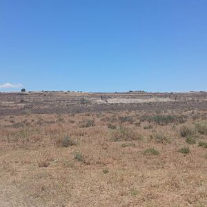 Phillipstown -PLOT FOR SALE – R90 000 CASH ONLY – EXCLUDING 