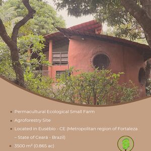 Eco-Friendly Country House