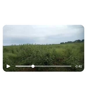 Farm lot in bukidnon 