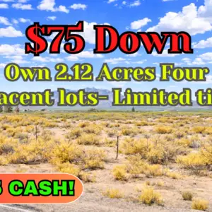 Buy 4 Adjacent Lots Totalling 2.12 Acre for Just $75 Down