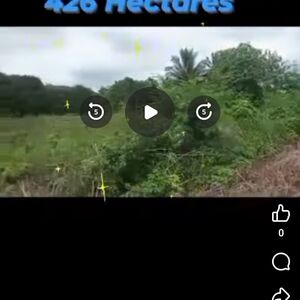 Farm lot in bukidnon 