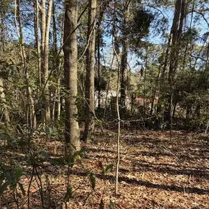 0.77 Acre Lot for Sale in Jasper County SC
