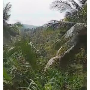 Farm lot in sarangani 