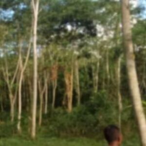 Farm lot in Davao city 