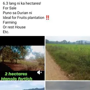 Farm lot in bukidnon 