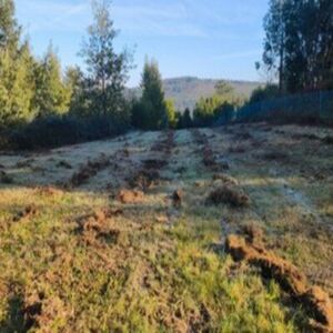Terreno urbaniz&aacute;vel com 2.261 m2 - Vila Nova de Cerveira
