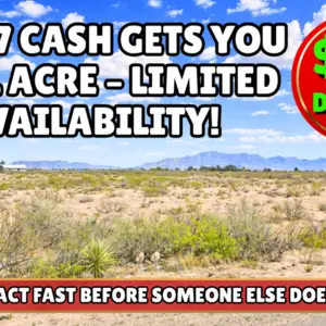 Just $2,497 Gets You 2 0.50-Acre Lots in Luna. Buy Now!