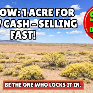 Two 0.50 Acre Lots Totalling 1 Acre. Secure It for $2,497