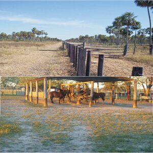 (13) farm of 8403 has Hayes Department, forth zone
