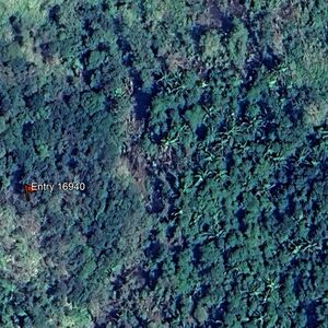 25 acres Belize Farmland with Hilltop View