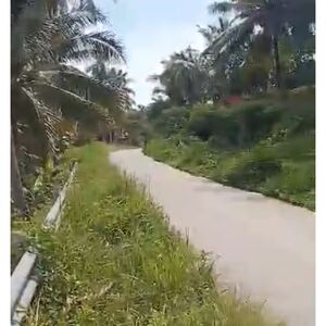 Farm lot in sarangani 