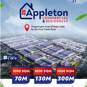 The Appleton Commercial