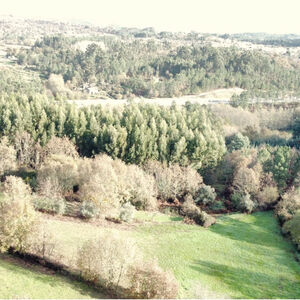 Terreno em Mangualde