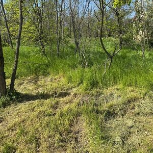 Plot for sale at the foot of Vrsacki breg