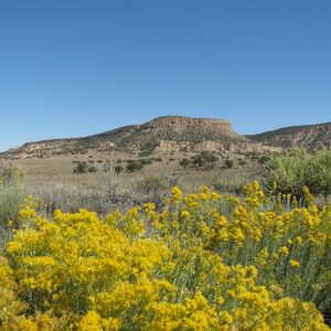 Unbelievable bargain! 1 acre New Mexico for only &euro;50 a month